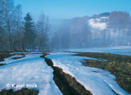 Frhlingserwachen * Riesengebirge (Krkonose)