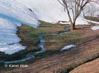 Spring wakes up  * Krkonose Mountains (Giant Mts)