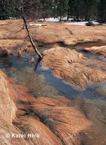 In the glacial cirque of the Elbe * Krkonose Mountains (Giant Mts)