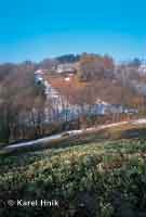 Slopes of the valley near the village of Knice Vrchlab * Krkonose Mountains (Giant Mts)