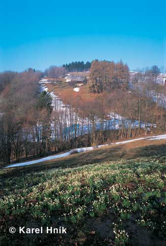 Slopes of the valley near the village of Knice * Krkonose Mountains (Giant Mts)