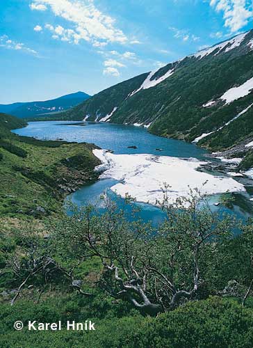 Der Grosse Teich * Riesengebirge (Krkonose)