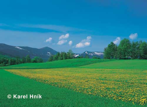 Blick zum Riesengebirge von Krummh�bel (Karpacz) * Riesengebirge (Krkonose)