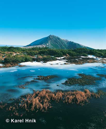 View of Snka from the peatbog at the pa springs * Krkonose Mountains (Giant Mts)