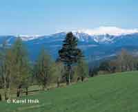 Blick von Benetzko zum Riesengebirge Benecko * Riesengebirge (Krkonose)