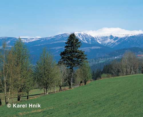 Blick von Benetzko zum Riesengebirge * Riesengebirge (Krkonose)