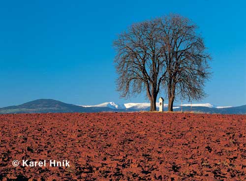 Blick von den Vorbergen zum Riesengebirge * Riesengebirge (Krkonose)