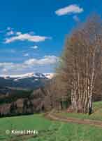 View of Kotel Hill Benecko * Krkonose Mountains (Giant Mts)