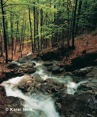 Stream Husk potok * Krkonose Mountains (Giant Mts)