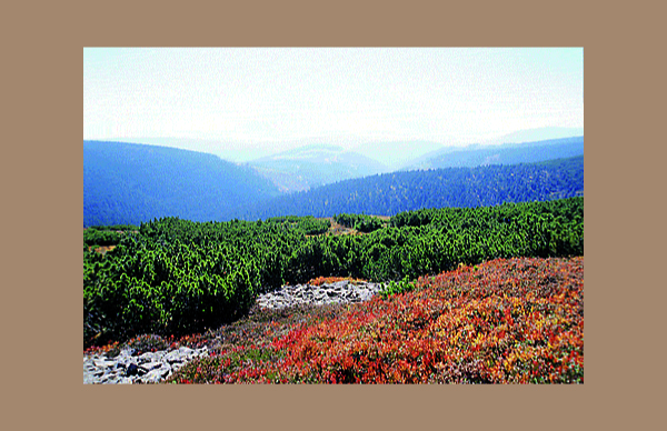 Let's Hike in Krakonos' Kingdom * Krkonose Mountains (Giant Mts)