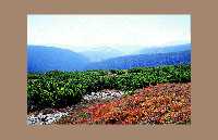mehr: Wandern in R�bezahls Reich			