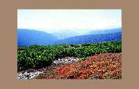 enlarge picture: Let's Hike in Krakonos' Kingdom * Krkonose Mountains (Giant Mts)