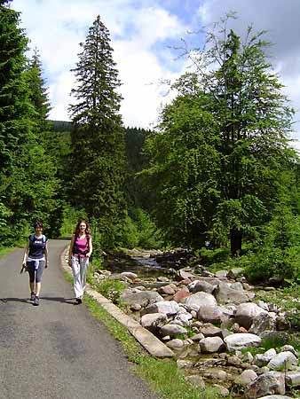 Bike & Hike in Krkonose Mts. * Krkonose Mountains (Giant Mts)