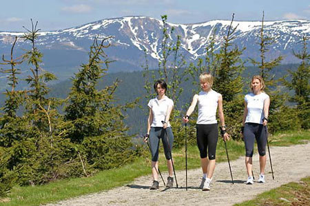 Nordic-Walking in sunny Benecko! * Krkonose Mountains (Giant Mts)