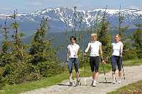 Bild vergrössern: Nordic-Walking im sonnenverwöhnten Benecko! * Riesengebirge (Krkonose)