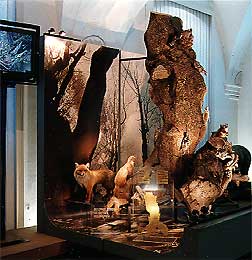 Riesengebirgsmuseum * Riesengebirge (Krkonose)