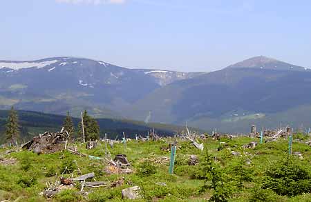3. Vyhl�dkov� v� * Krkonose Mountains (Giant Mts)