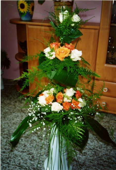 Kv�tinov� studio * Krkono�e