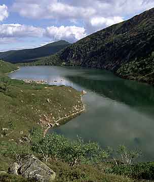 Wielki Staw (Groer Teich) * Riesengebirge (Krkonose)