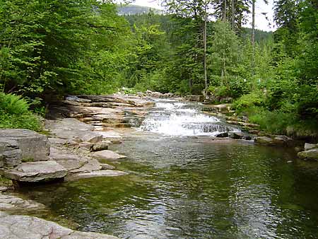 Bl Labe (Weisse Elbe) * Riesengebirge (Krkonose)