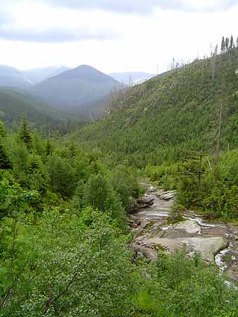 Labsk dl (The Elbe mead) * Krkonose Mountains (Giant Mts)