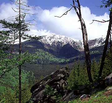 Kotel (Kokrh) * Krkonose Mountains (Giant Mts)