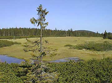 ern hora (Schwarzenberg) * Riesengebirge (Krkonose)