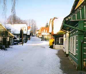 Das neugierige Gsschen * Riesengebirge (Krkonose)