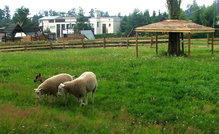 Kemp a hotel Holiday Park Lisci Farma * Karkonosze