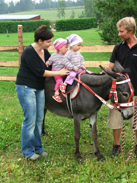 Kemp a hotel Holiday Park Lisci Farma * Karkonosze