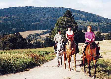 Knick chalupa * Riesengebirge (Krkonose)