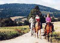 Bild vergrssern: Knick chalupa * Riesengebirge (Krkonose)