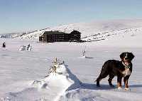 Bild vergrssern: Restaurant Lucni bouda (Wiesenbaude) * Riesengebirge (Krkonose)