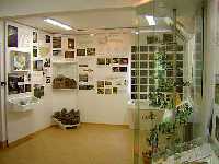 Ecologic exhibition Ob dl * Krkonose Mountains (Giant Mts)