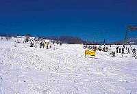 enlarge picture: SKIAREL Vrchlab - Knick vrch * Krkonose Mountains (Giant Mts)