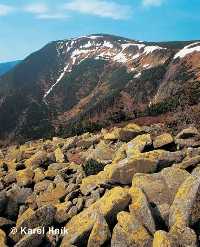 Studnin hora Mountain  Pec pod Snkou * Krkonose Mountains (Giant Mts)