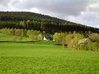 al Benecko * Krkonose Mountains (Giant Mts)