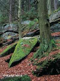 enlarge picture: Harrachova jma  (Harrach's hollow) * Krkonose Mountains (Giant Mts)