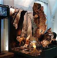 Riesengebirgsmuseum * Riesengebirge (Krkonose)