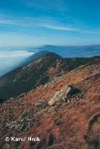 enlarge picture: Koz hbety * Krkonose Mountains (Giant Mts)