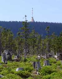 enlarge picture: 1. vodn panel * Krkonose Mountains (Giant Mts)