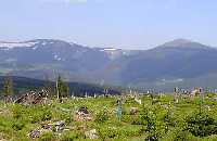 enlarge picture: 3. Vyhldkov v * Krkonose Mountains (Giant Mts)