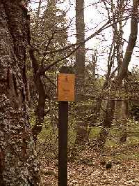 06. Dvorský les Horní Maršov * Krkonoše