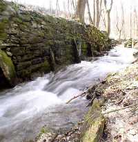 Bild vergrssern: Sklenovice * Riesengebirge (Krkonose)