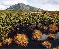 enlarge picture: Snezka * Krkonose Mountains (Giant Mts)