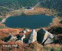 enlarge picture: Maly Staw (Small Pond) * Krkonose Mountains (Giant Mts)