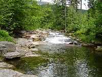 enlarge picture: Bl Labe (The White Elbe River) * Krkonose Mountains (Giant Mts)