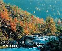 enlarge picture: Bl Labe (The White Elbe River) * Krkonose Mountains (Giant Mts)