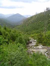 enlarge picture: Labsk dl (The Elbe mead) * Krkonose Mountains (Giant Mts)