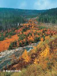 enlarge picture: Labsk dl (The Elbe mead) * Krkonose Mountains (Giant Mts)